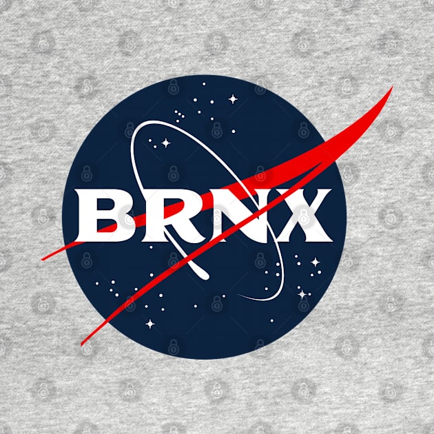 BRONX SPACE PROGRAM PARODY by LILNAYSHUNZ